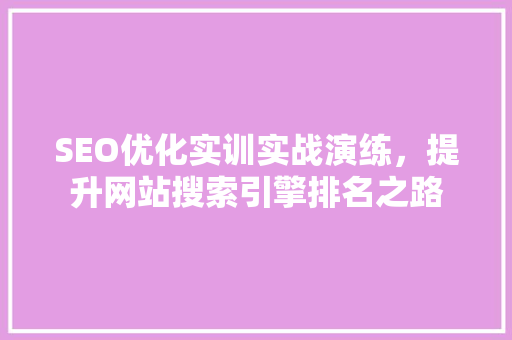 SEO优化实训实战演练，提升网站搜索引擎排名之路