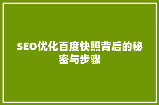 SEO优化百度快照背后的秘密与步骤