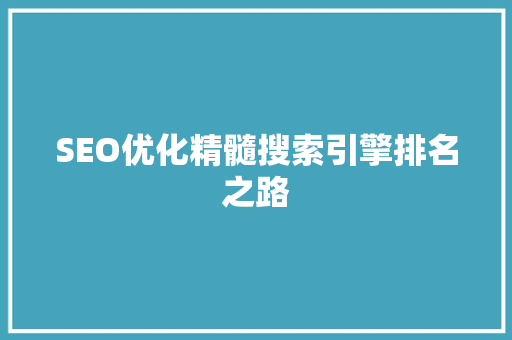 SEO优化精髓搜索引擎排名之路