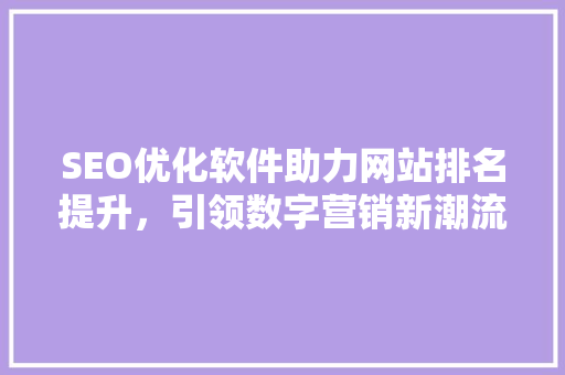SEO优化软件助力网站排名提升，引领数字营销新潮流