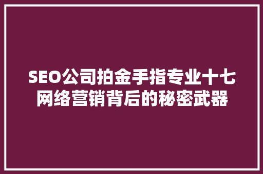 SEO公司拍金手指专业十七网络营销背后的秘密武器