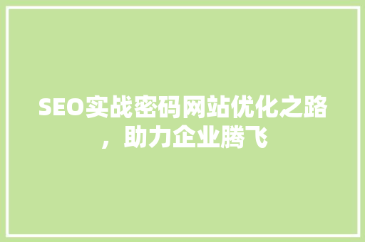 SEO实战密码网站优化之路，助力企业腾飞