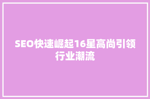 SEO快速崛起16星高尚引领行业潮流