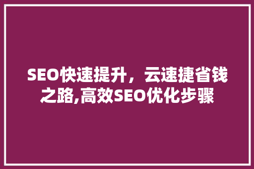 SEO快速提升，云速捷省钱之路,高效SEO优化步骤