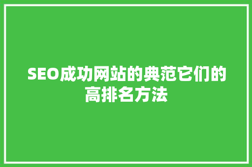 SEO成功网站的典范它们的高排名方法