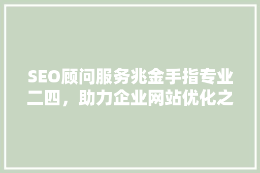 SEO顾问服务兆金手指专业二四，助力企业网站优化之路