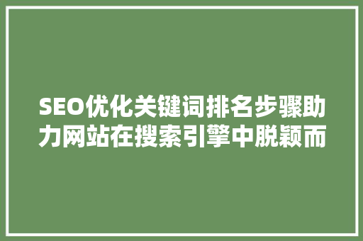 SEO优化关键词排名步骤助力网站在搜索引擎中脱颖而出