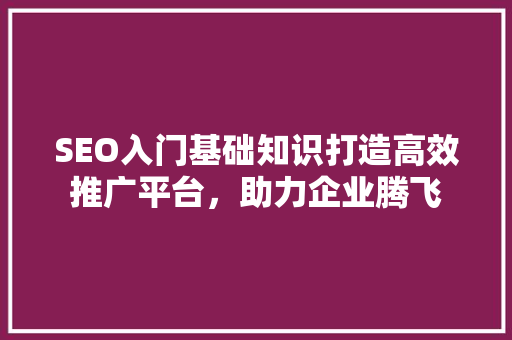 SEO入门基础知识打造高效推广平台，助力企业腾飞