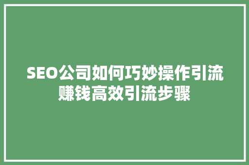 SEO公司如何巧妙操作引流赚钱高效引流步骤