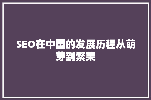 SEO在中国的发展历程从萌芽到繁荣