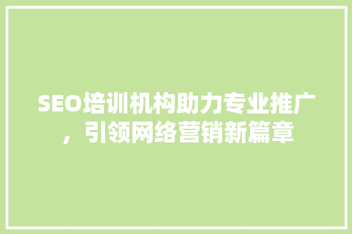 SEO培训机构助力专业推广，引领网络营销新篇章