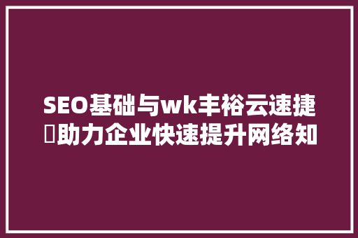 SEO基础与wk丰裕云速捷乚助力企业快速提升网络知名度