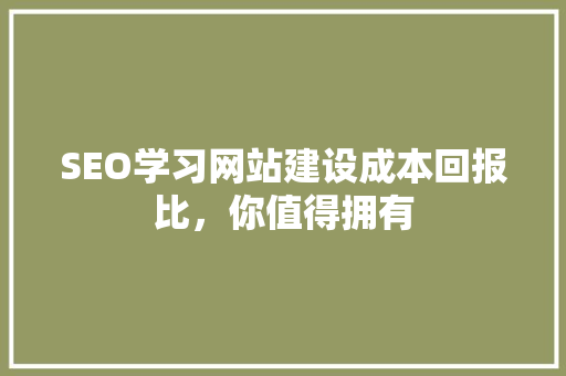 SEO学习网站建设成本回报比，你值得拥有