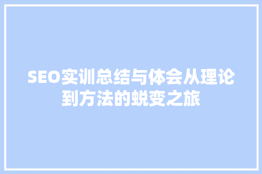 SEO实训总结与体会从理论到方法的蜕变之旅