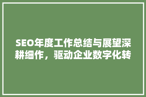 SEO年度工作总结与展望深耕细作，驱动企业数字化转型