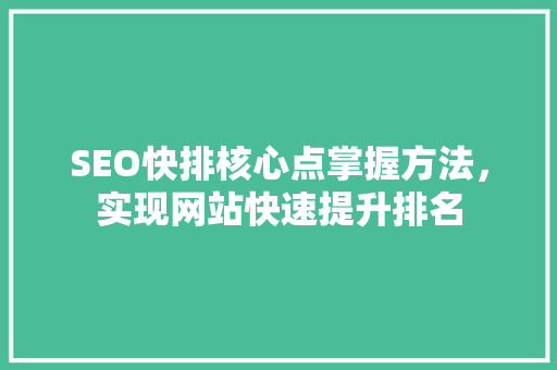 SEO快排核心点掌握方法，实现网站快速提升排名