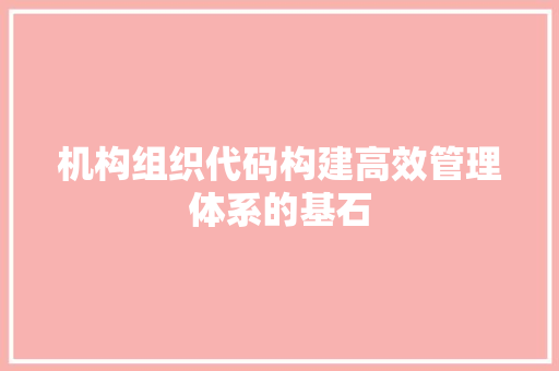 机构组织代码构建高效管理体系的基石