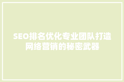 SEO排名优化专业团队打造网络营销的秘密武器