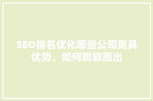 SEO排名优化哪些公司更具优势，如何脱颖而出
