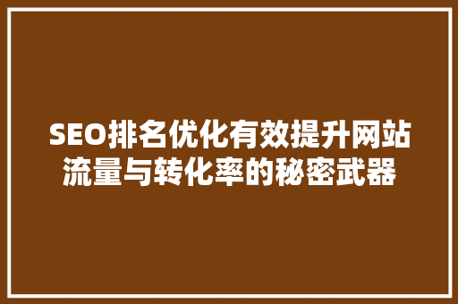 SEO排名优化有效提升网站流量与转化率的秘密武器