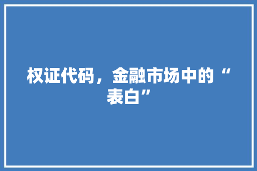 权证代码，金融市场中的“表白”