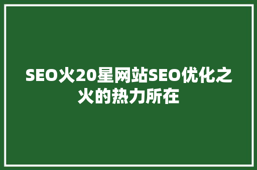 SEO火20星网站SEO优化之火的热力所在