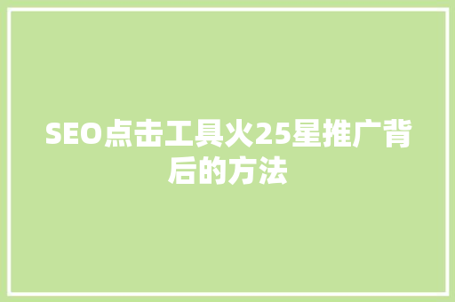 SEO点击工具火25星推广背后的方法