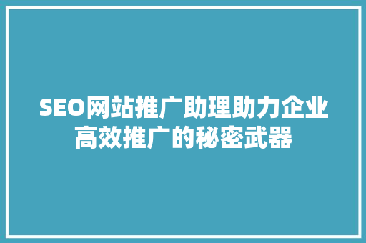 SEO网站推广助理助力企业高效推广的秘密武器