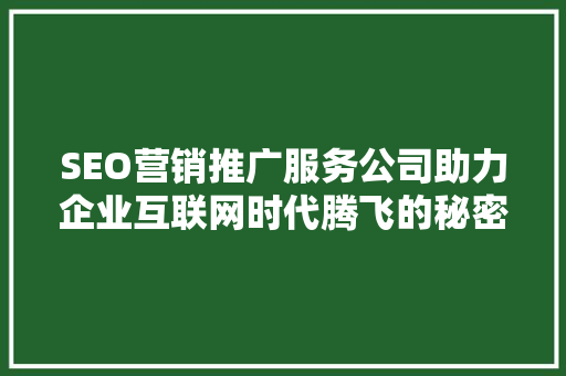 SEO营销推广服务公司助力企业互联网时代腾飞的秘密武器