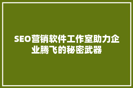 SEO营销软件工作室助力企业腾飞的秘密武器