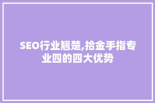 SEO行业翘楚,拾金手指专业四的四大优势