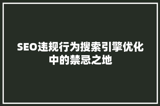 SEO违规行为搜索引擎优化中的禁忌之地