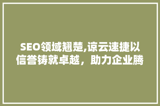 SEO领域翘楚,谅云速捷以信誉铸就卓越，助力企业腾飞