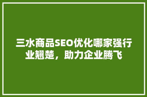 三水商品SEO优化哪家强行业翘楚，助力企业腾飞