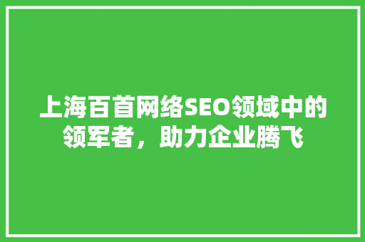 上海百首网络SEO领域中的领军者，助力企业腾飞