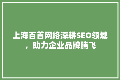上海百首网络深耕SEO领域，助力企业品牌腾飞