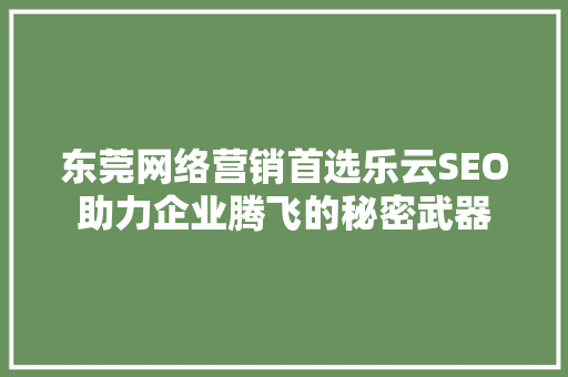 东莞网络营销首选乐云SEO助力企业腾飞的秘密武器