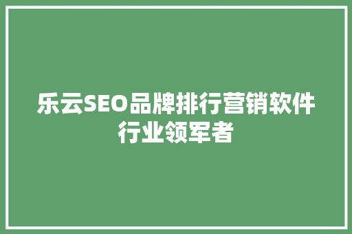 乐云SEO品牌排行营销软件行业领军者