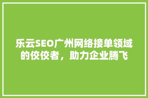 乐云SEO广州网络接单领域的佼佼者，助力企业腾飞