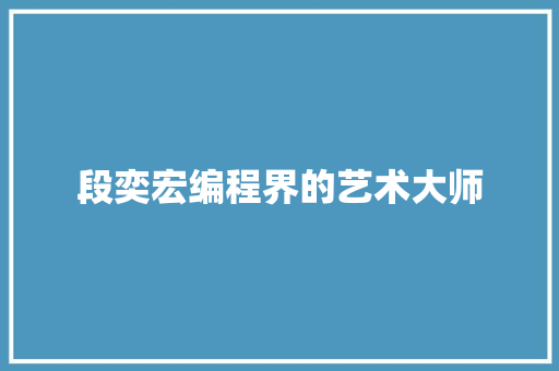 段奕宏编程界的艺术大师