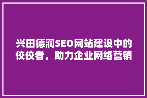 兴田德润SEO网站建设中的佼佼者，助力企业网络营销腾飞