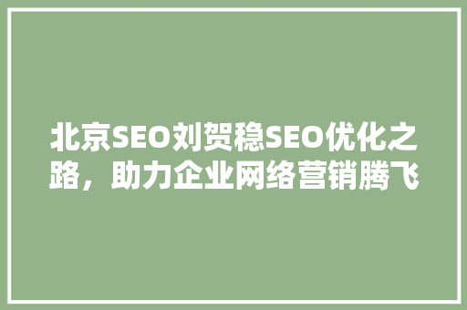 北京SEO刘贺稳SEO优化之路，助力企业网络营销腾飞