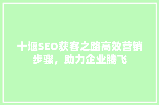 十堰SEO获客之路高效营销步骤，助力企业腾飞