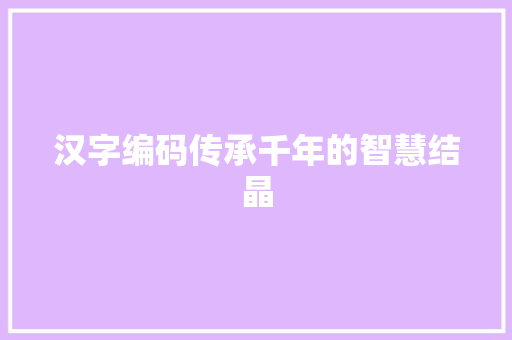汉字编码传承千年的智慧结晶