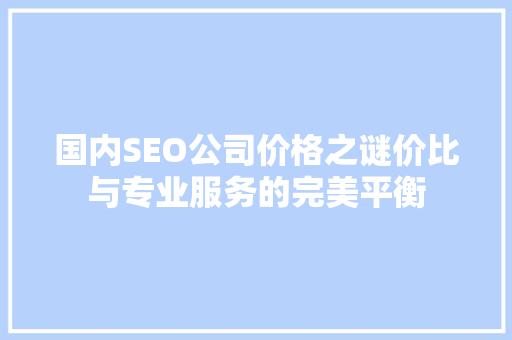 国内SEO公司价格之谜价比与专业服务的完美平衡