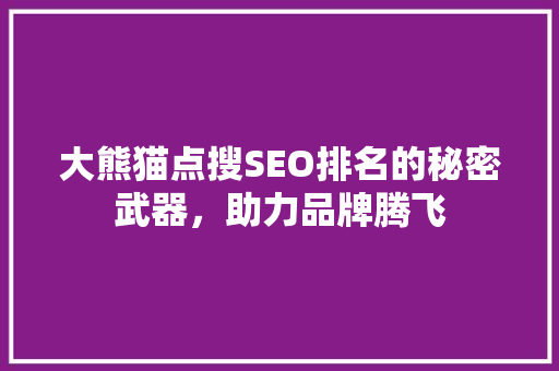 大熊猫点搜SEO排名的秘密武器，助力品牌腾飞  第1张