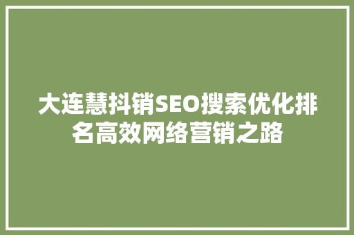 大连慧抖销SEO搜索优化排名高效网络营销之路