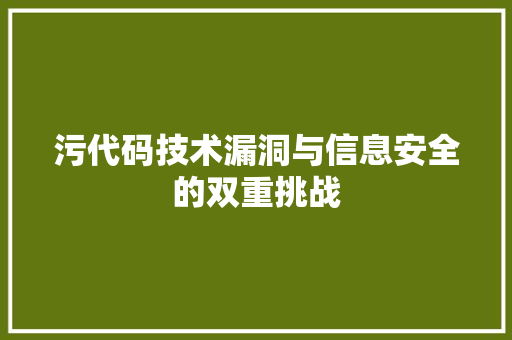 污代码技术漏洞与信息安全的双重挑战