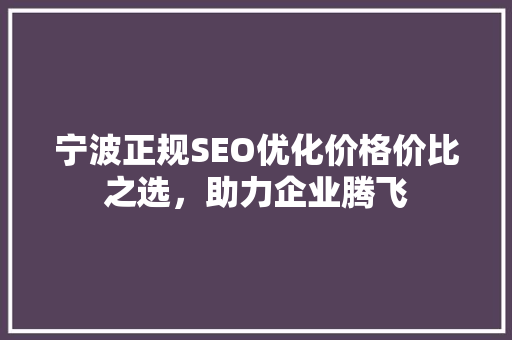 宁波正规SEO优化价格价比之选，助力企业腾飞