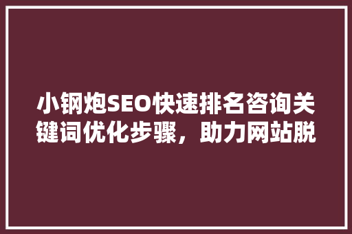 小钢炮SEO快速排名咨询关键词优化步骤，助力网站脱颖而出